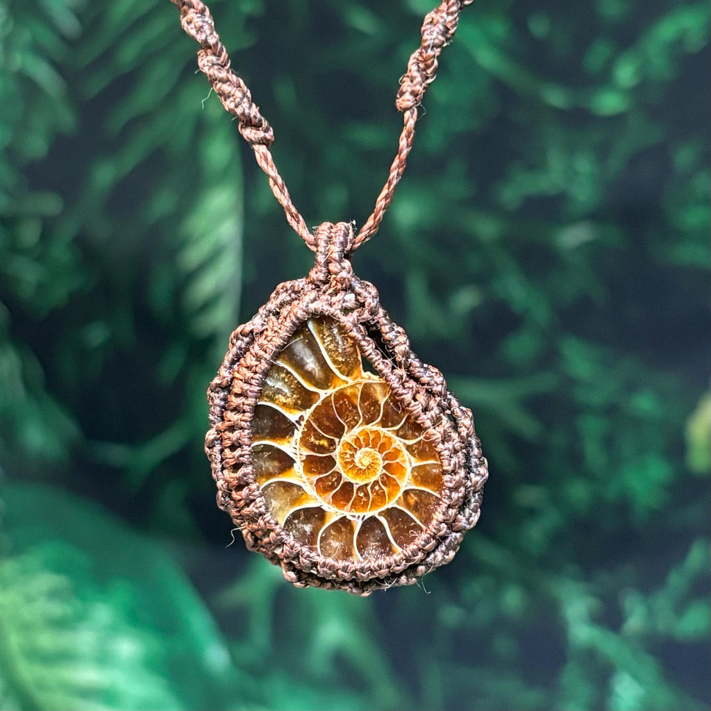 Natural Ammolite Macrame Fossil Necklace |