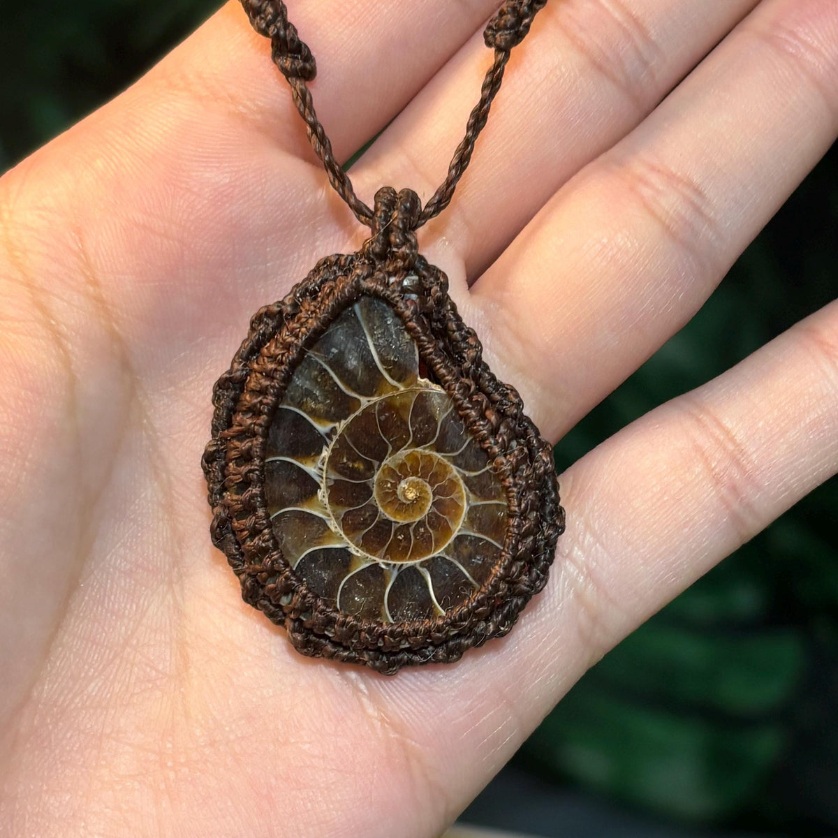 Natural Ammolite Macrame Fossil Necklace |