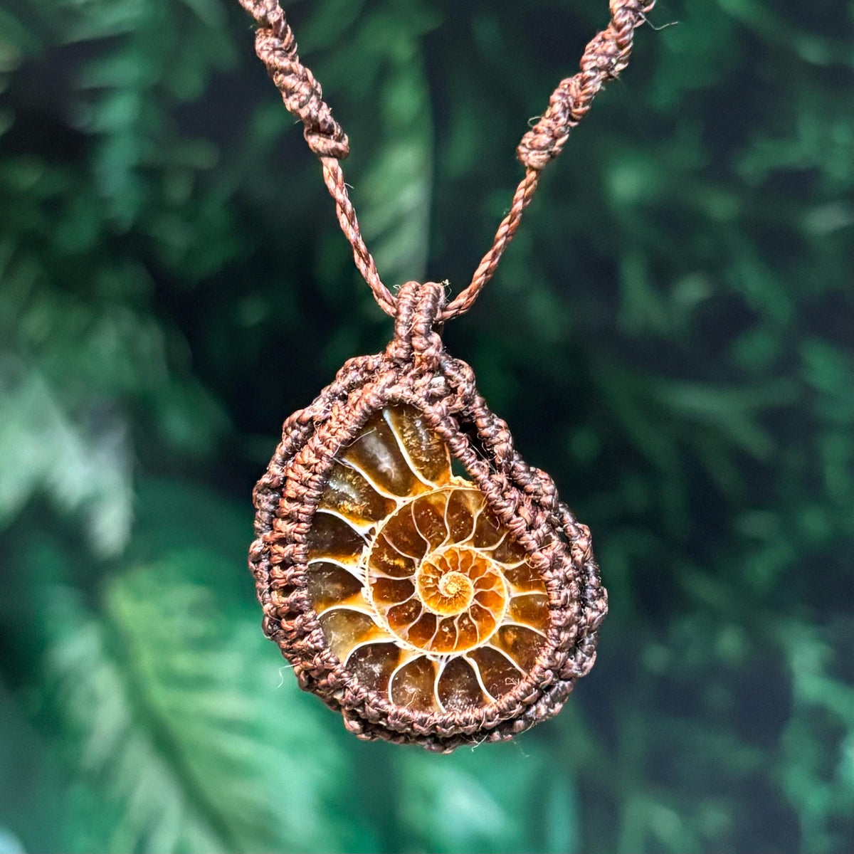 Natural Ammolite Macrame Fossil Necklace |