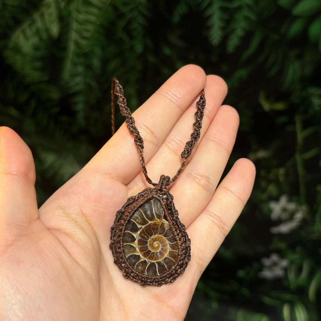 Natural Ammolite Macrame Fossil Necklace |